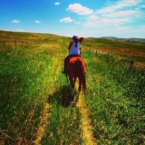 Meet your Posher, Annie